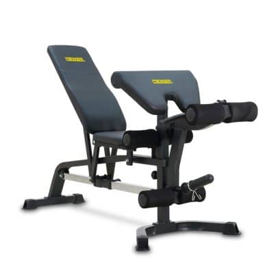 WEIGHT BENCH PALADIN