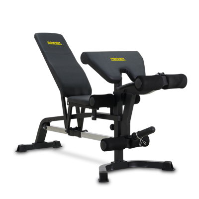 WEIGHT BENCH PALADIN